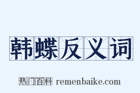 韩蝶反义词是什么意思的图片